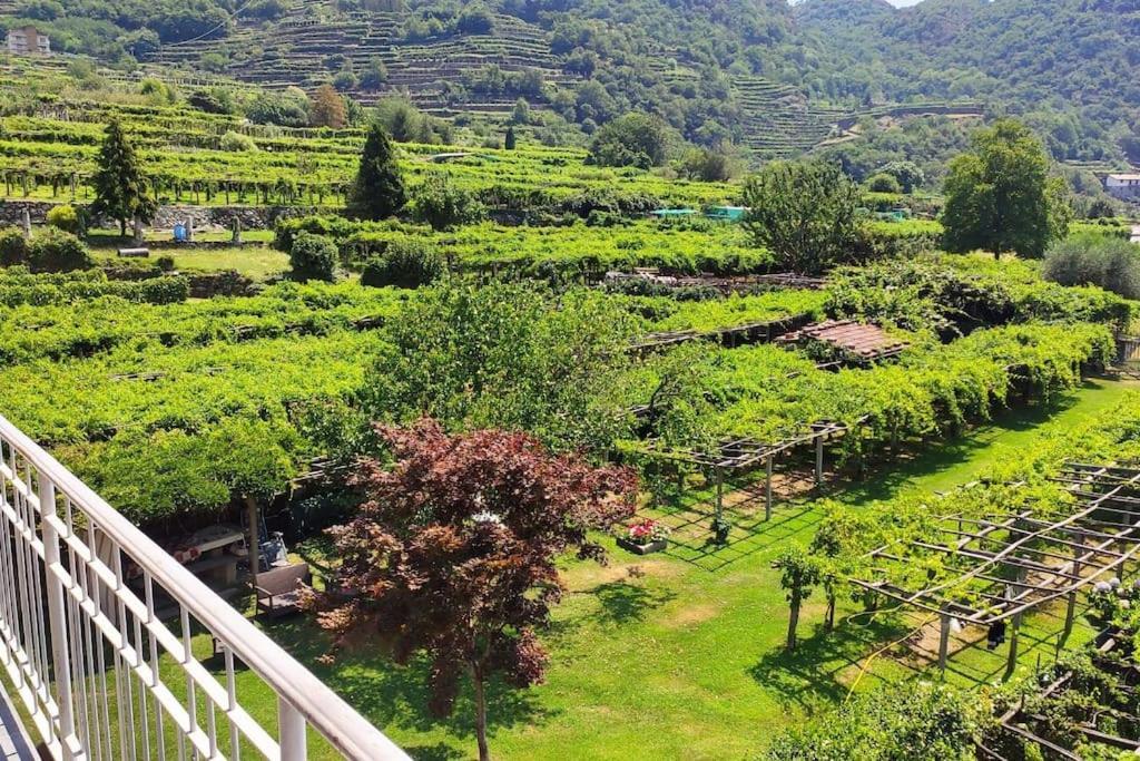 La Casa Dei Nonni 3,0 Apartment Carema ภายนอก รูปภาพ